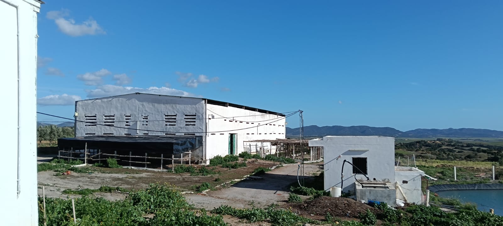 Zaghouan&nbsp;Zaghouan&nbsp;Terrain&nbsp;Terrain agricole&nbsp;Ferme agricole de 86 h