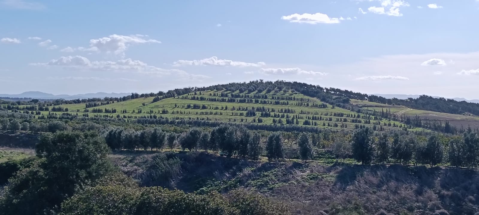 Zaghouan&nbsp;Zaghouan&nbsp;Terrain&nbsp;Terrain agricole&nbsp;Ferme agricole de 86 h