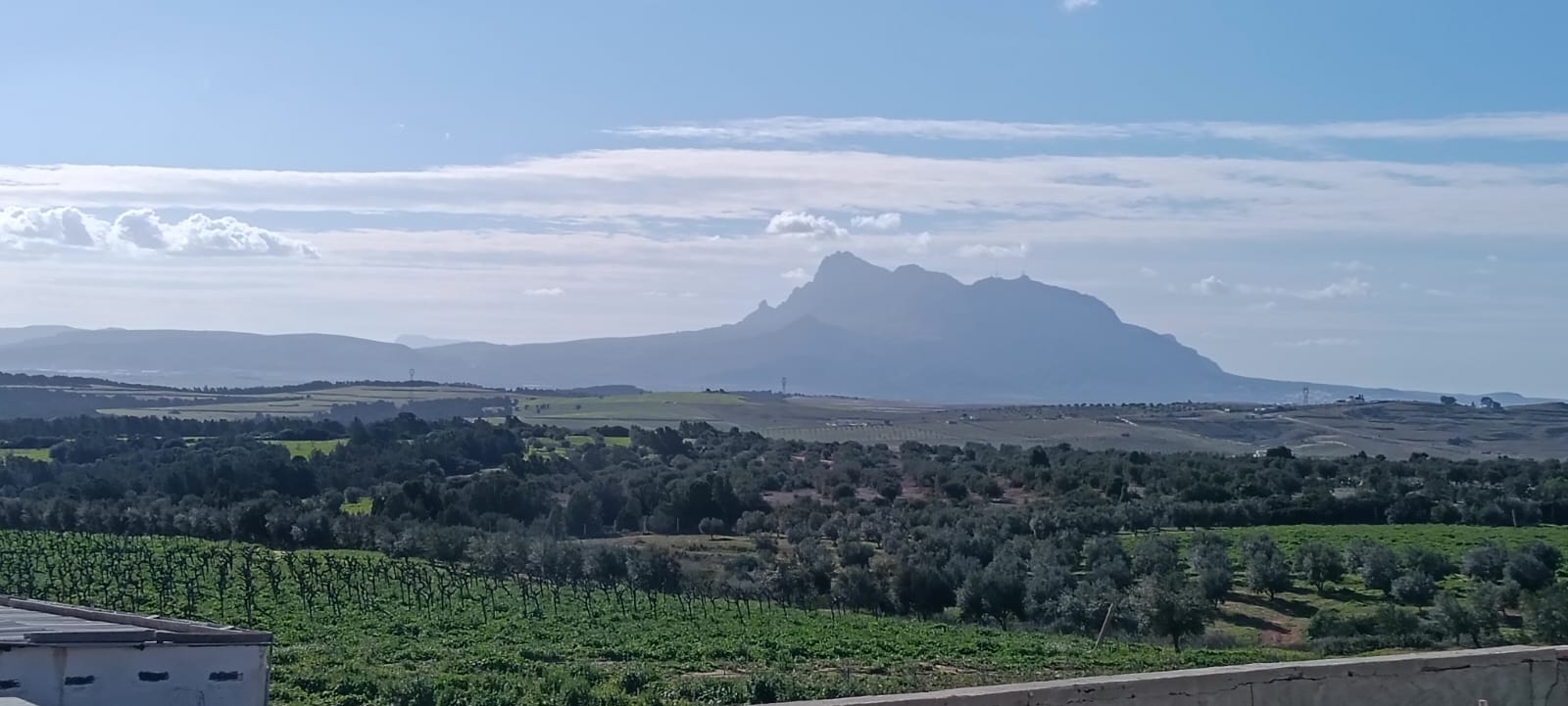 Terrain&nbsp;Terrain agricole