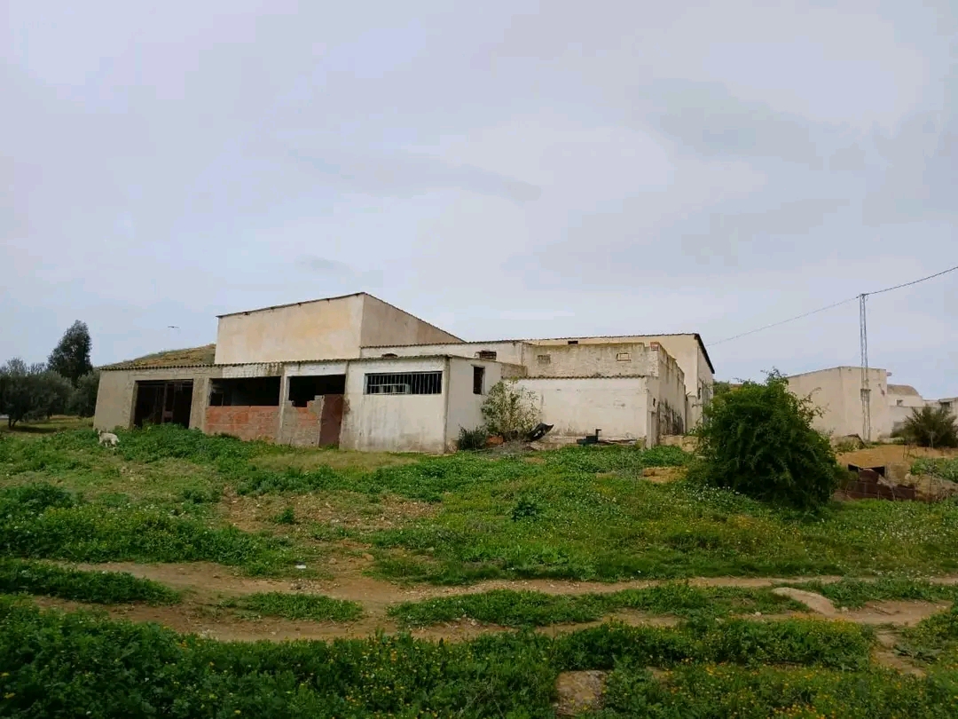 Zaghouan&nbsp;Zaghouan&nbsp;Terrain&nbsp;Terrain agricole&nbsp;Ferme d oliviers � 5 km du centre de zaghouan