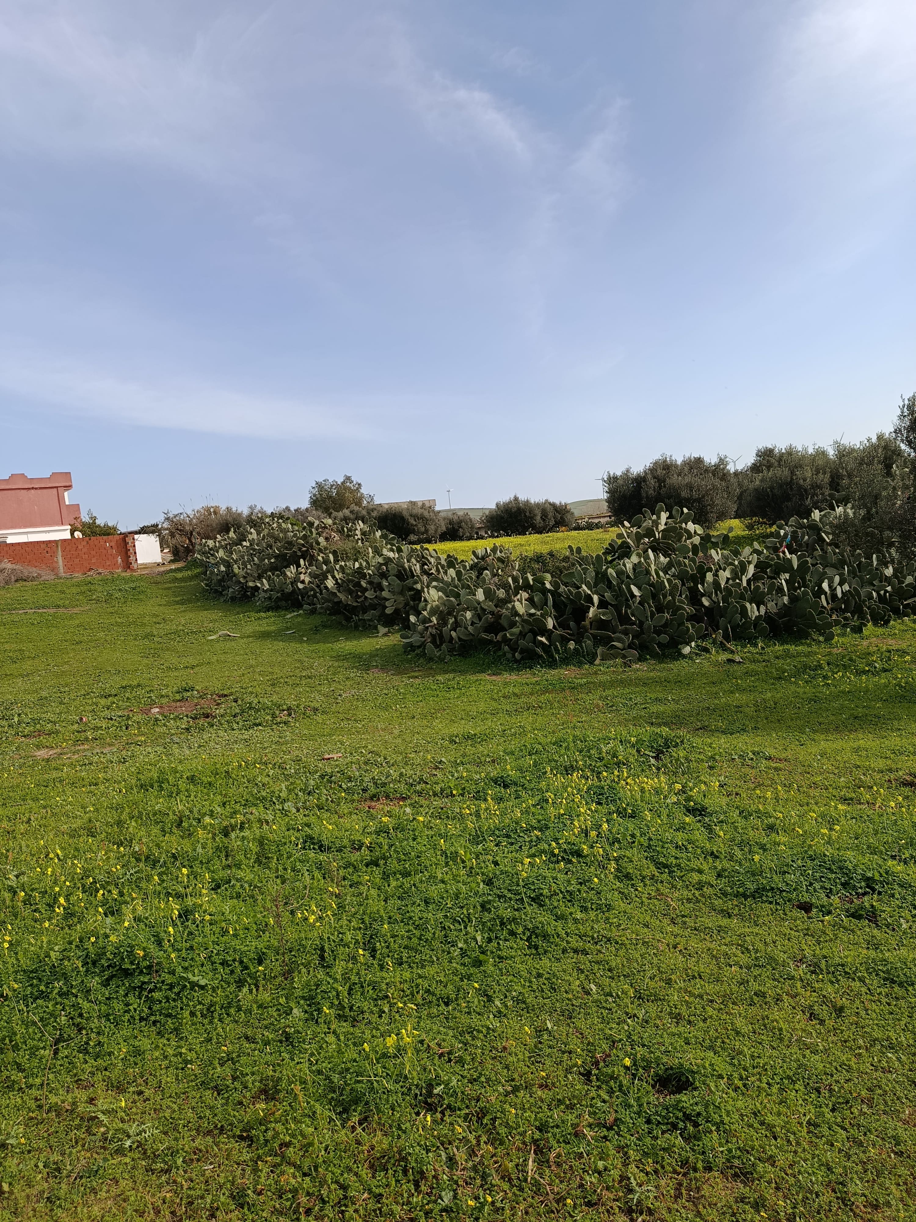 Terrain&nbsp;Terrain nu