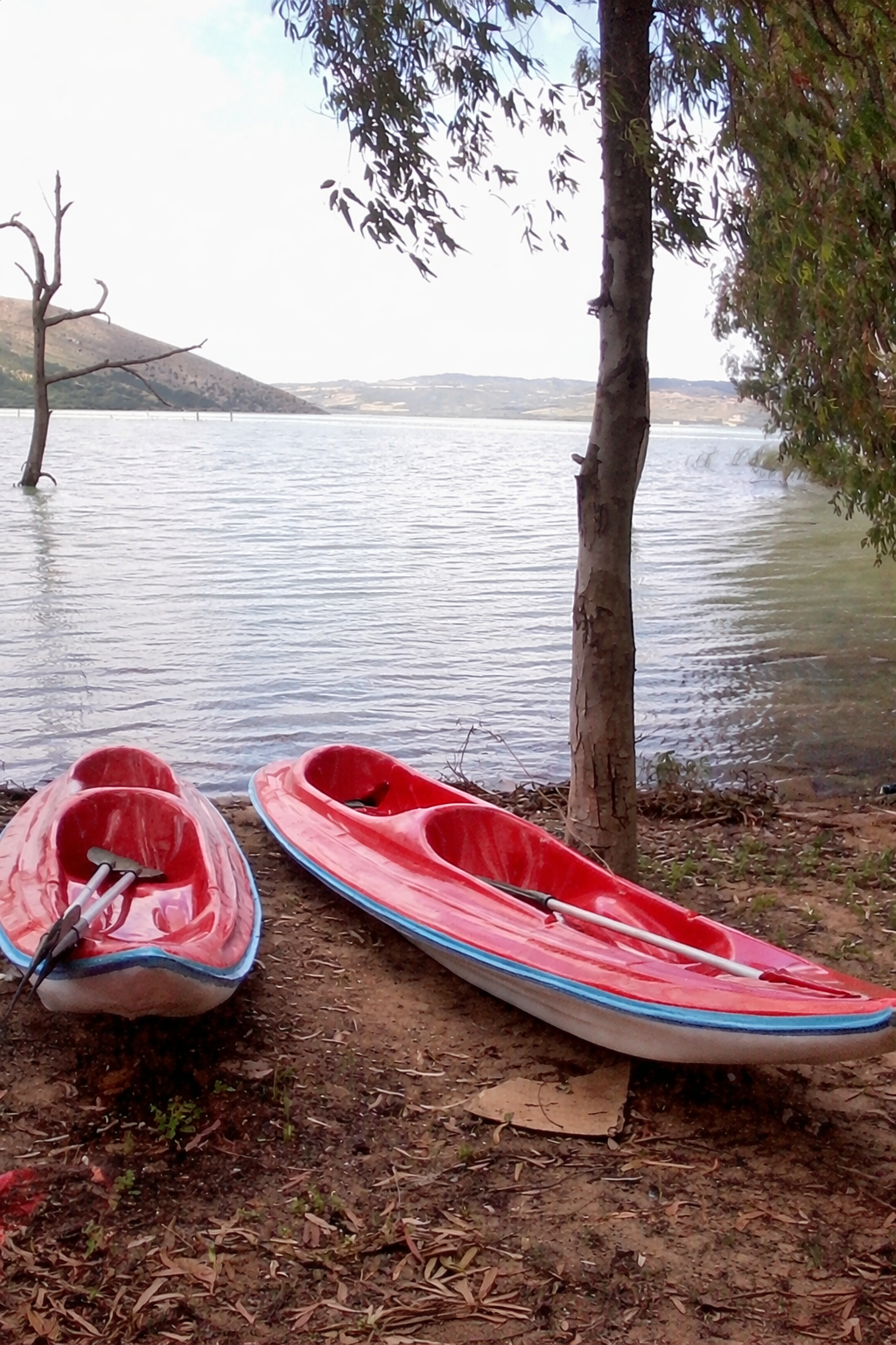 La Soukra&nbsp;Dar Fadhal&nbsp;Petites embarcations&nbsp;Kayak&nbsp;Kayack 1 place