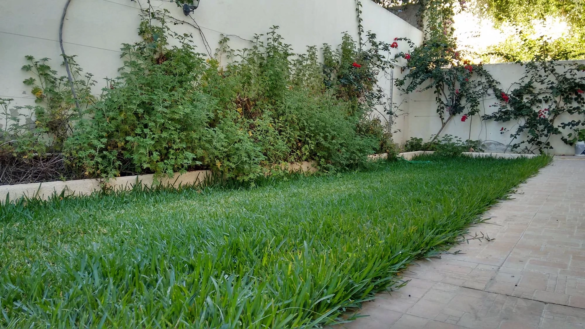 La Marsa&nbsp;Berge Du Lac&nbsp;Location&nbsp;Surfaces&nbsp;Espace haut standing avec jardin privatif 100m2