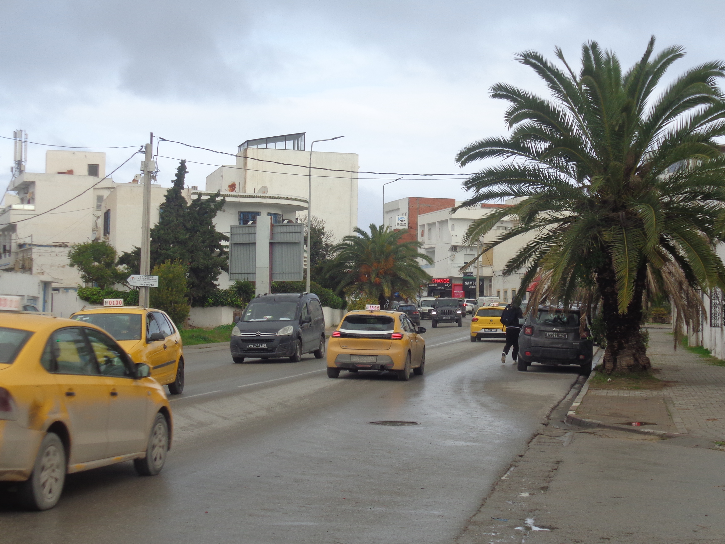 La Marsa&nbsp;Marsa Safsaf&nbsp;Location&nbsp;Surfaces&nbsp;Loue  un spacieux  local  commercial de 65 m2