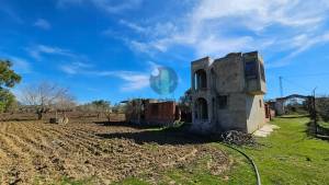 Nabeul&nbsp;Nabeul&nbsp;Vente&nbsp;Surfaces&nbsp;  terrain agricole de 3473m ref679a