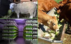 Ras Jebel&nbsp;Metline&nbsp;Autre&nbsp;Autre&nbsp;Partenariat projets