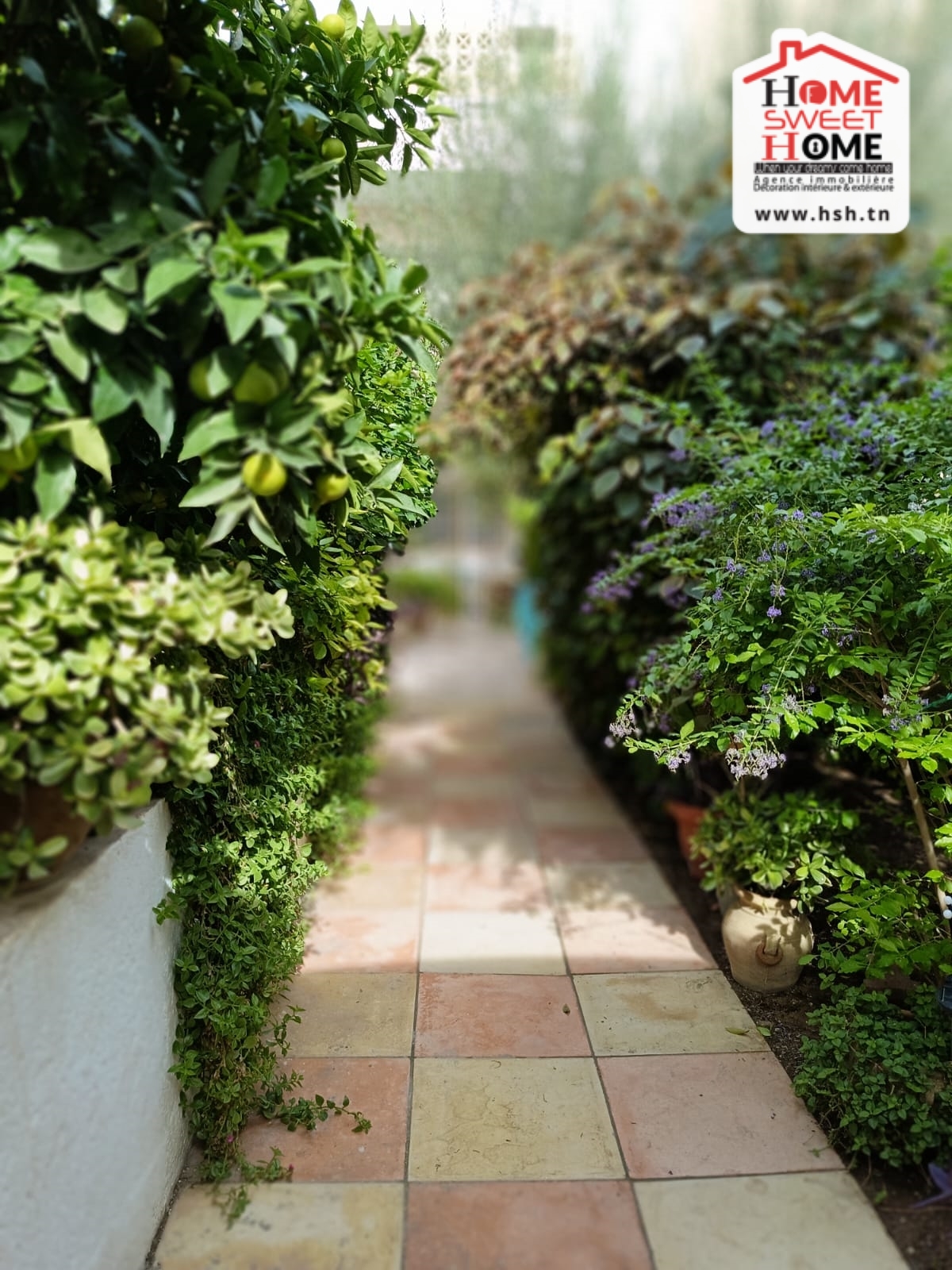 Carthage&nbsp;Salambo&nbsp;Location&nbsp;Appart. 3 pi�ces&nbsp;Rdc de villa s3 vesela  meubl� � carthage salambo