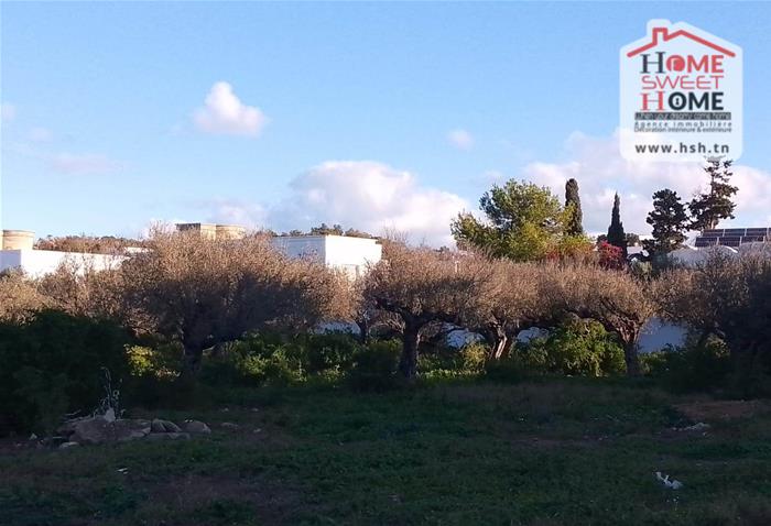 La Marsa&nbsp;Gammart&nbsp;Terrain&nbsp;Terrain nu&nbsp;Terrain villa avira � gammarth for�t
