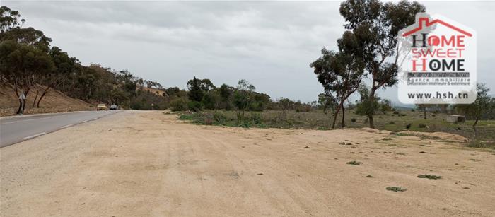 Testour&nbsp;Testour&nbsp;Terrain&nbsp;Terrain agricole&nbsp;Terrain agricole pluvia � testour