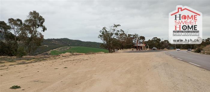 Testour&nbsp;Testour&nbsp;Terrain&nbsp;Terrain agricole&nbsp;Terrain agricole pluvia � testour