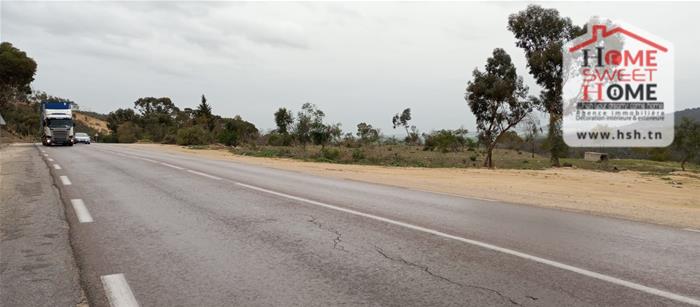 Testour&nbsp;Testour&nbsp;Terrain&nbsp;Terrain agricole&nbsp;Terrain agricole pluvia � testour