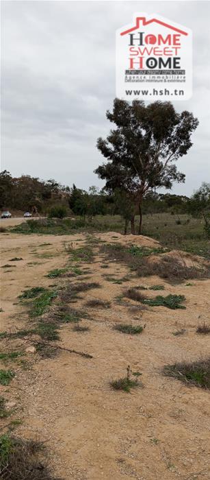 Testour&nbsp;Testour&nbsp;Terrain&nbsp;Terrain agricole&nbsp;Terrain agricole pluvia � testour