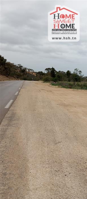 Terrain&nbsp;Terrain agricole