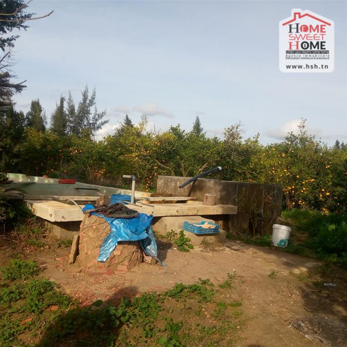 Terrain&nbsp;Terrain agricole