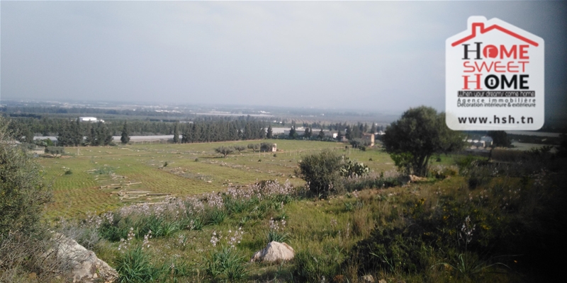 Mornag&nbsp;Mornag&nbsp;Terrain&nbsp;Terrain agricole&nbsp;Senia kyranis � mornag