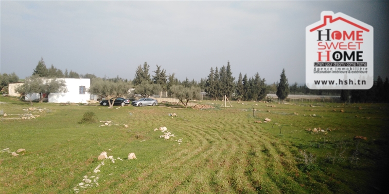 Mornag&nbsp;Mornag&nbsp;Terrain&nbsp;Terrain agricole&nbsp;Senia kyranis � mornag