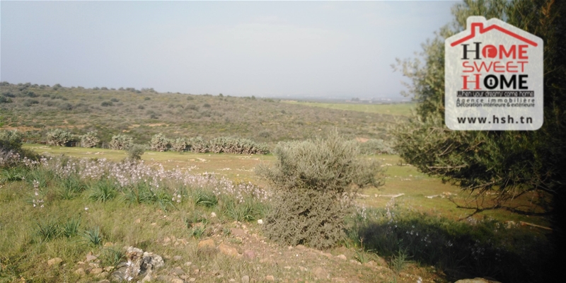 Terrain&nbsp;Terrain agricole