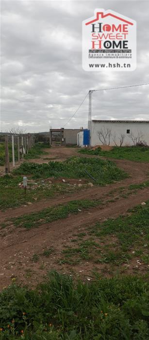 Borj El Amri&nbsp;Borj El Amri&nbsp;Terrain&nbsp;Terrain agricole&nbsp;Terrain agricole ardor � borj el amri