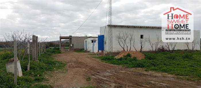 Borj El Amri&nbsp;Borj El Amri&nbsp;Terrain&nbsp;Terrain agricole&nbsp;Terrain agricole ardor � borj el amri