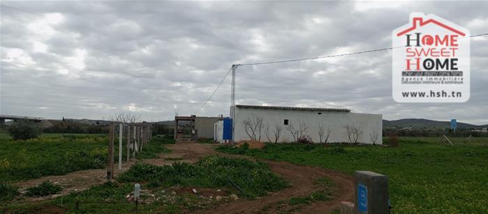 Terrain&nbsp;Terrain agricole