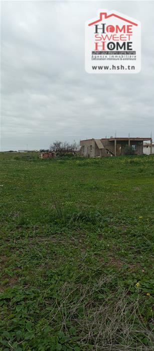 Borj El Amri&nbsp;Borj El Amri&nbsp;Terrain&nbsp;Terrain agricole&nbsp;Terrain agricole aroline � borj el amri