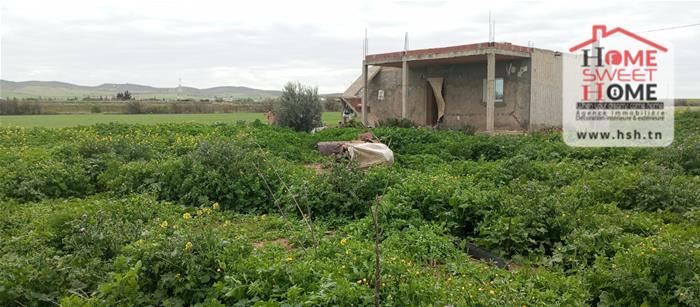 Borj El Amri&nbsp;Borj El Amri&nbsp;Terrain&nbsp;Terrain agricole&nbsp;Terrain agricole aroline � borj el amri