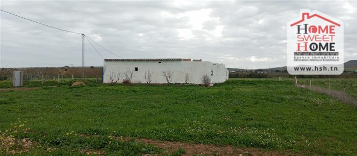 Borj El Amri&nbsp;Borj El Amri&nbsp;Terrain&nbsp;Terrain agricole&nbsp;Terrain agricole borlina � borj el amri