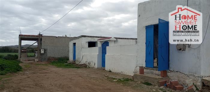 Borj El Amri&nbsp;Borj El Amri&nbsp;Terrain&nbsp;Terrain agricole&nbsp;Terrain agricole borlina � borj el amri