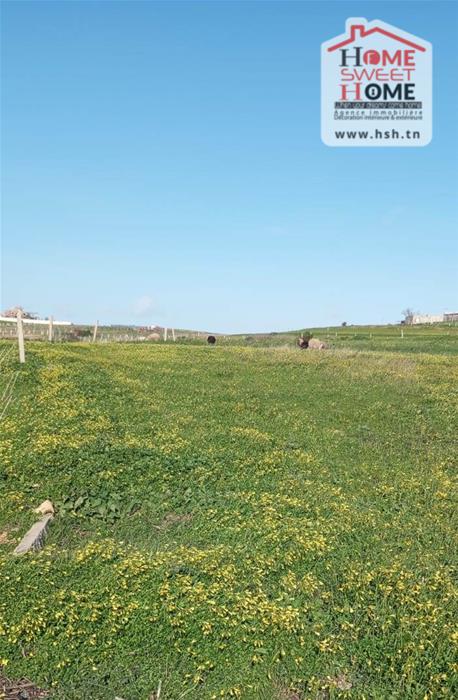 Terrain&nbsp;Terrain agricole