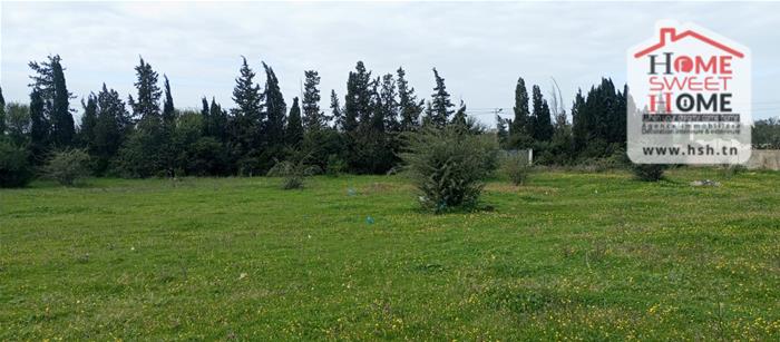 Jedaida&nbsp;Jedaida&nbsp;Terrain&nbsp;Terrain nu&nbsp;Terrain promoteur promovia � jedaida