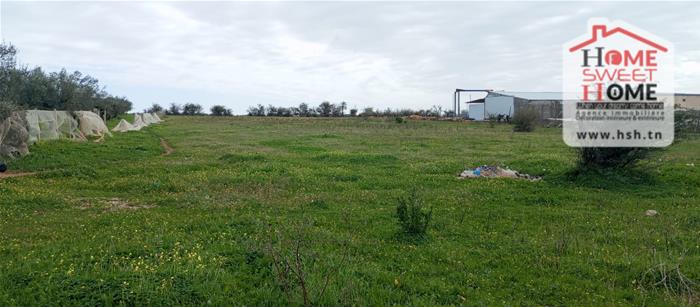 Jedaida&nbsp;Jedaida&nbsp;Terrain&nbsp;Terrain nu&nbsp;Terrain promoteur promovia � jedaida