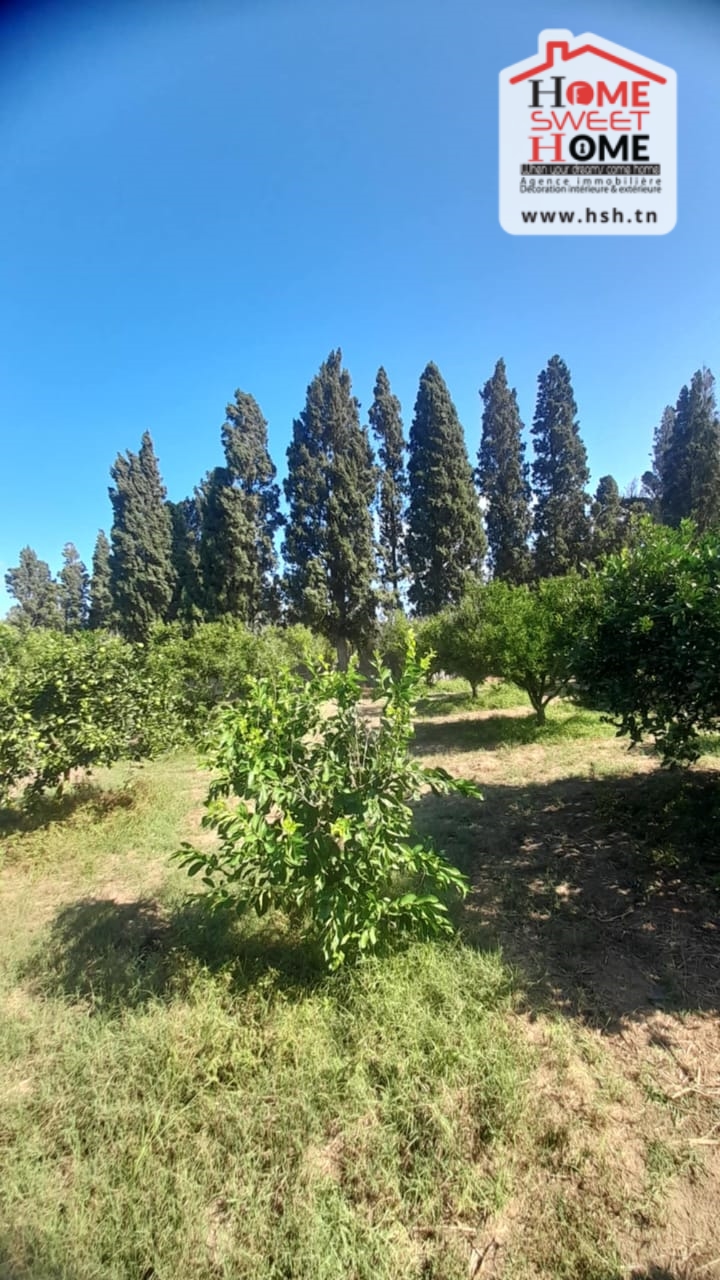 Ras Jebel&nbsp;Ras Jebel&nbsp;Terrain&nbsp;Terrain agricole&nbsp;Ferme rommana � sawnin ras jbal bizerte