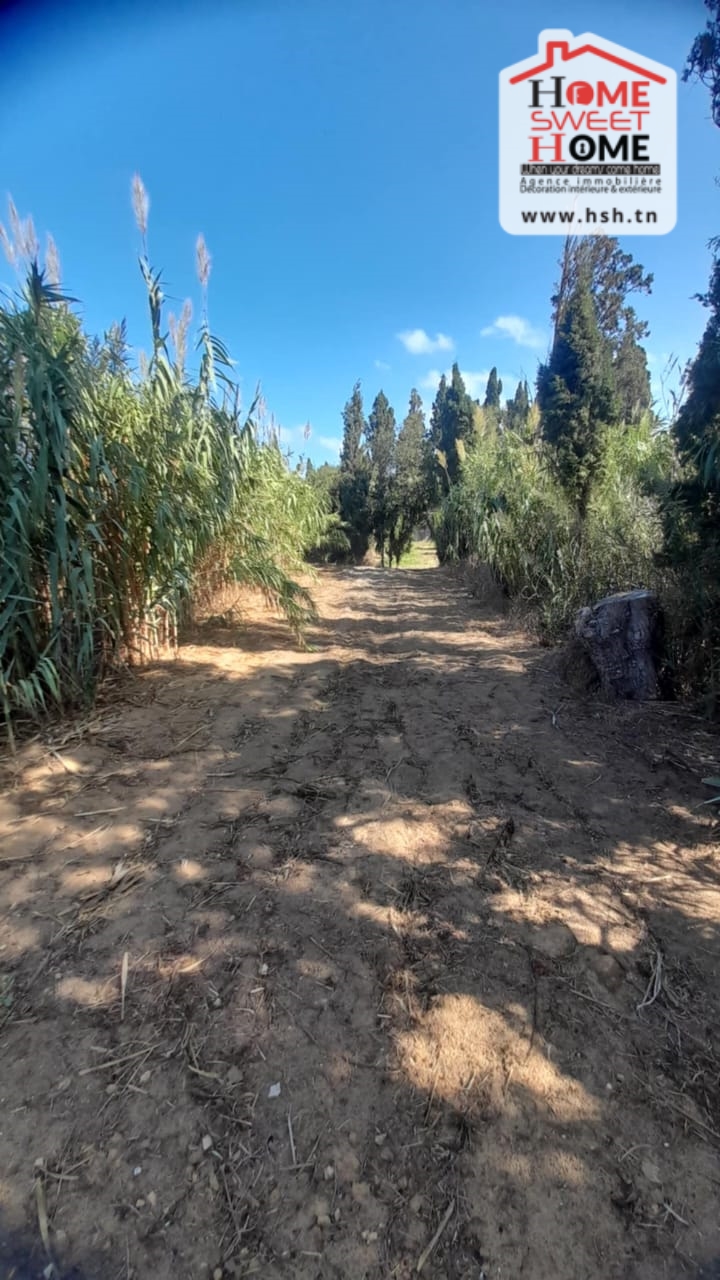 Terrain&nbsp;Terrain agricole