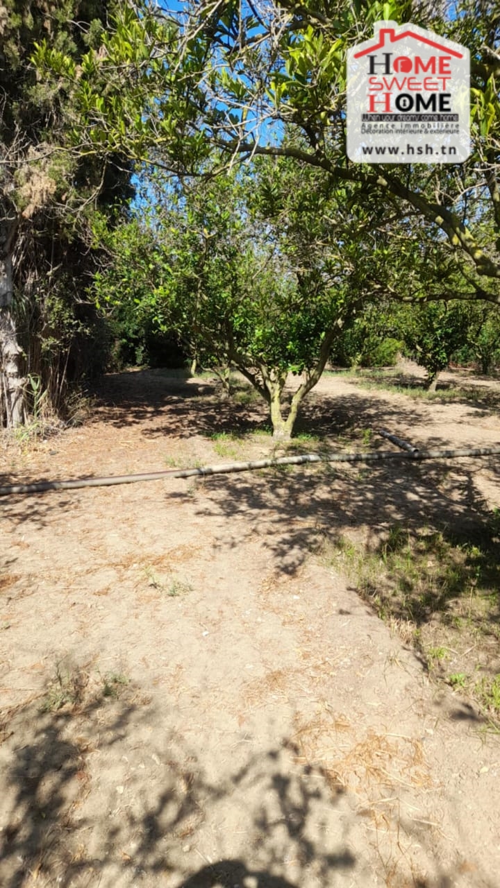 Ras Jebel&nbsp;Ras Jebel&nbsp;Terrain&nbsp;Terrain nu&nbsp;Terrain habitation el badr sawnin ras jbal bizert