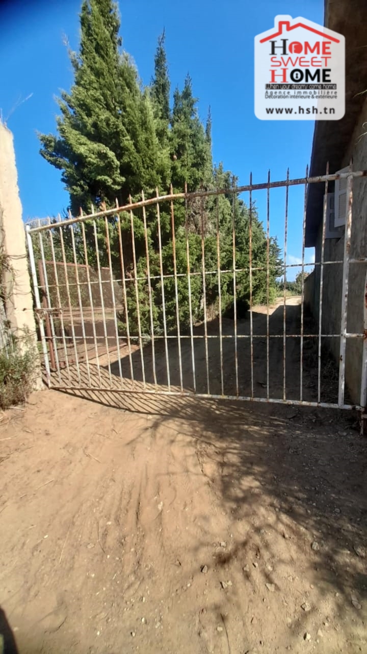 Terrain&nbsp;Terrain nu