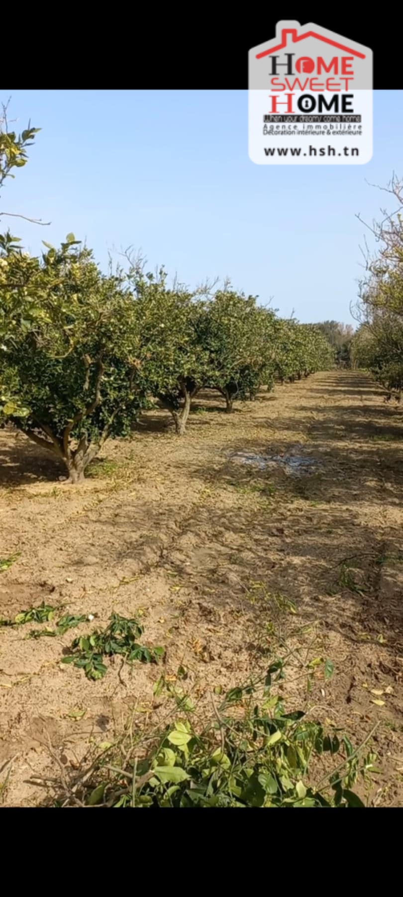 Terrain&nbsp;Terrain nu