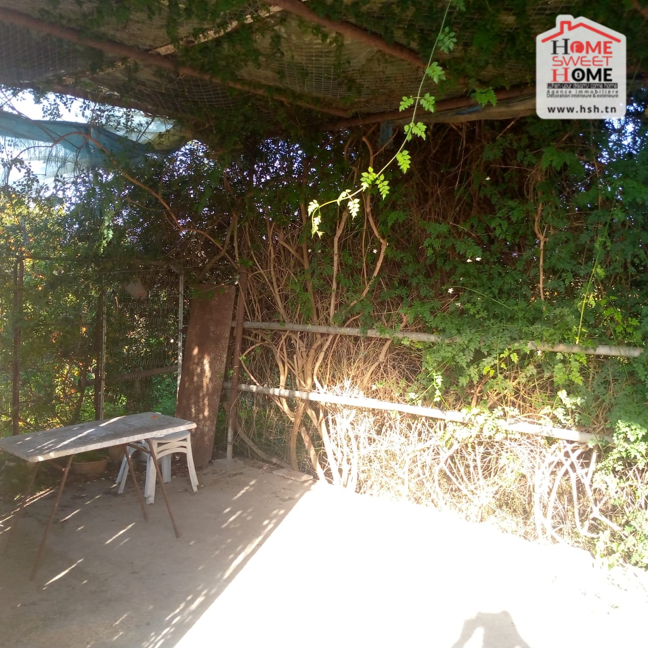 Menzel Bouzelfa&nbsp;Menzel Bouzelfa&nbsp;Terrain&nbsp;Terrain nu&nbsp;Terrain agricole s�r�nit� � menzel bouzelfa