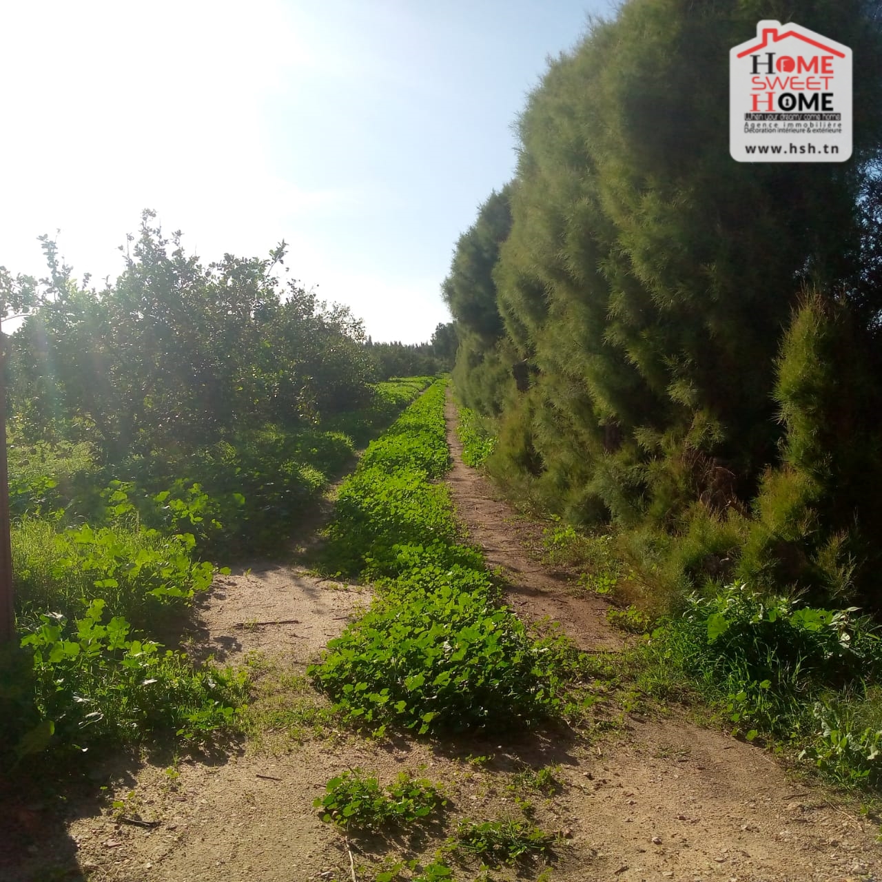 Terrain&nbsp;Terrain nu