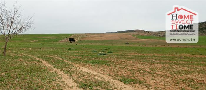 Mejez El Bab&nbsp;Mejez El Bab&nbsp;Terrain&nbsp;Terrain agricole&nbsp;Terrain agricole ecovia � mjez el beb