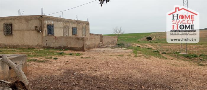 Mejez El Bab&nbsp;Mejez El Bab&nbsp;Terrain&nbsp;Terrain agricole&nbsp;Terrain agricole ecovia � mjez el beb