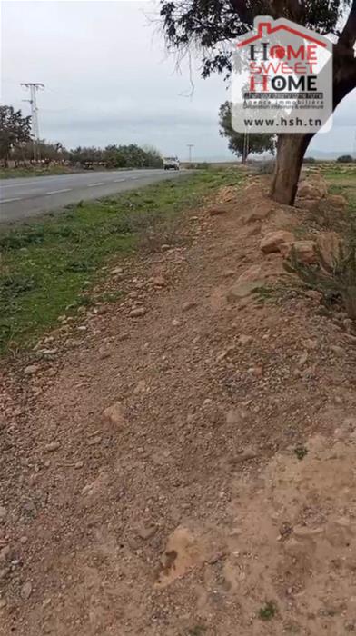 Mejez El Bab&nbsp;Mejez El Bab&nbsp;Terrain&nbsp;Terrain agricole&nbsp;Terrain agricole ecovia � mjez el beb