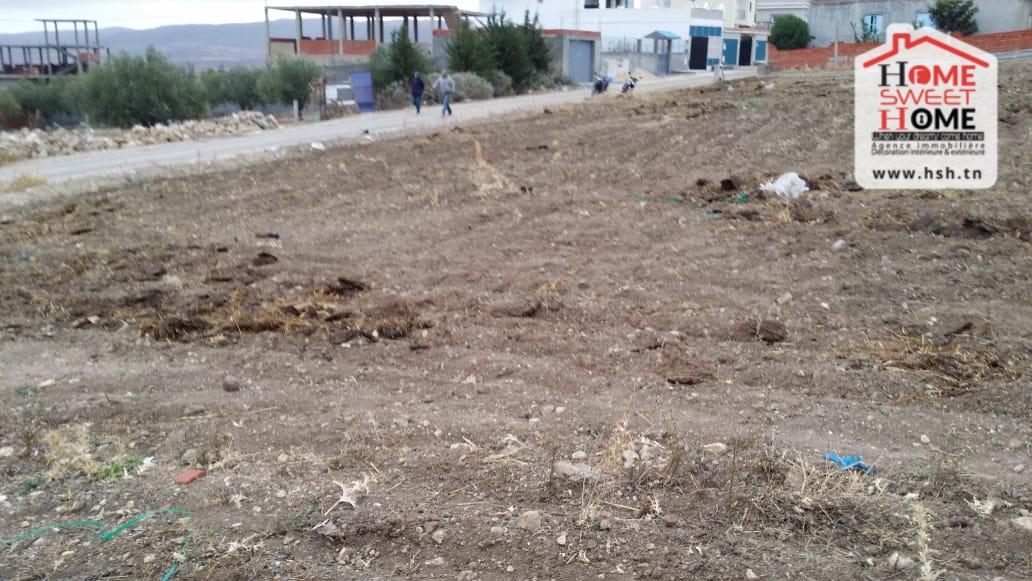 Terrain&nbsp;Terrain nu