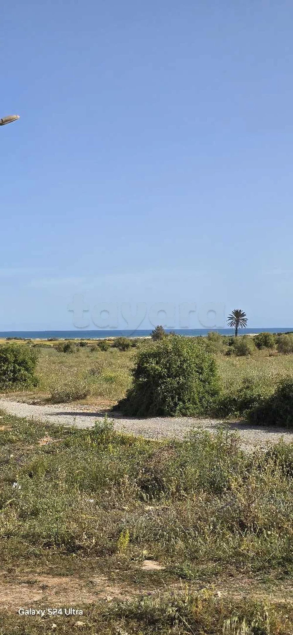 Menzel Temime&nbsp;Lebna&nbsp;Terrain&nbsp;Terrain nu&nbsp;Terrain lebna plage