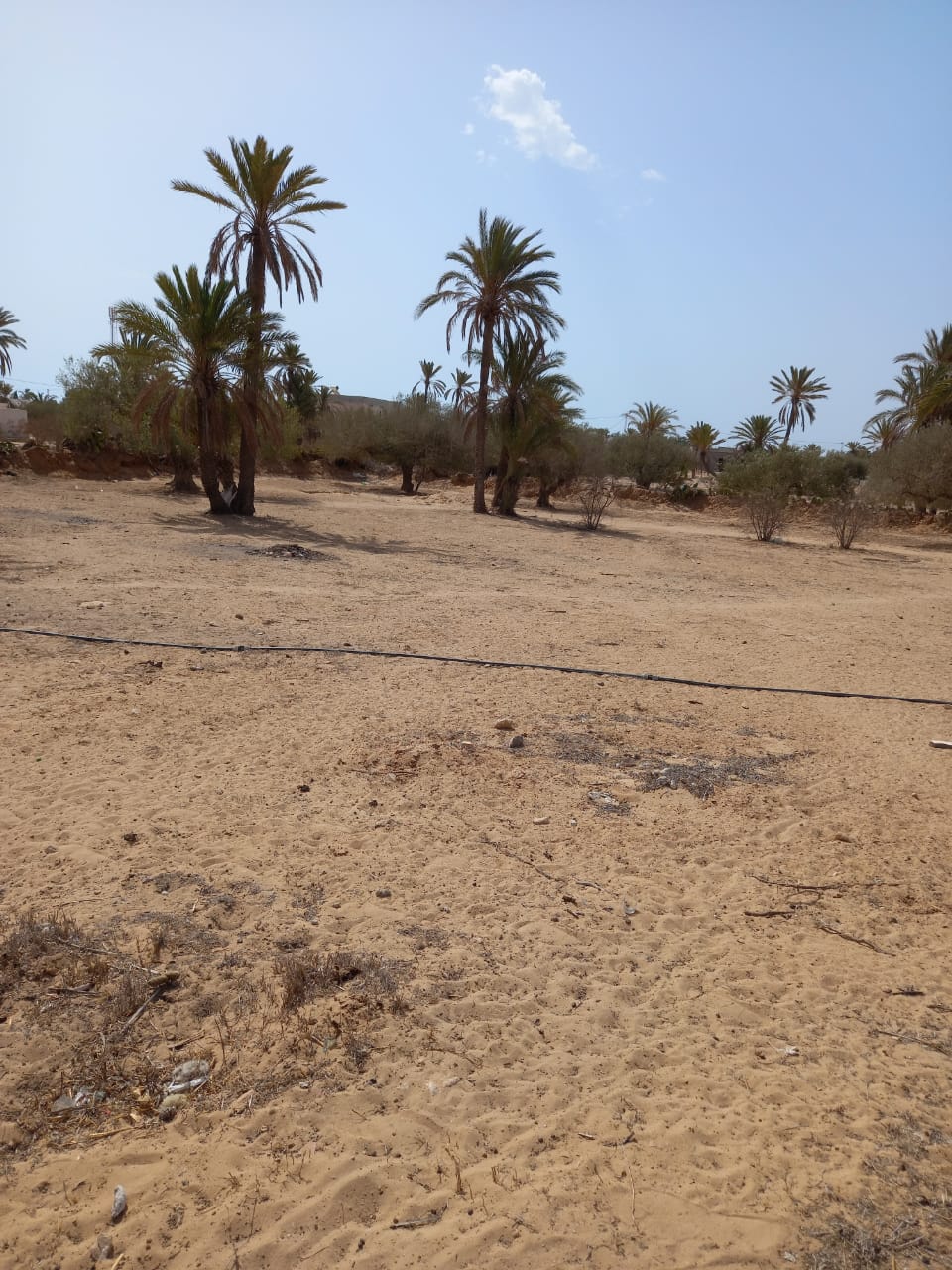 Terrain&nbsp;Terrain nu