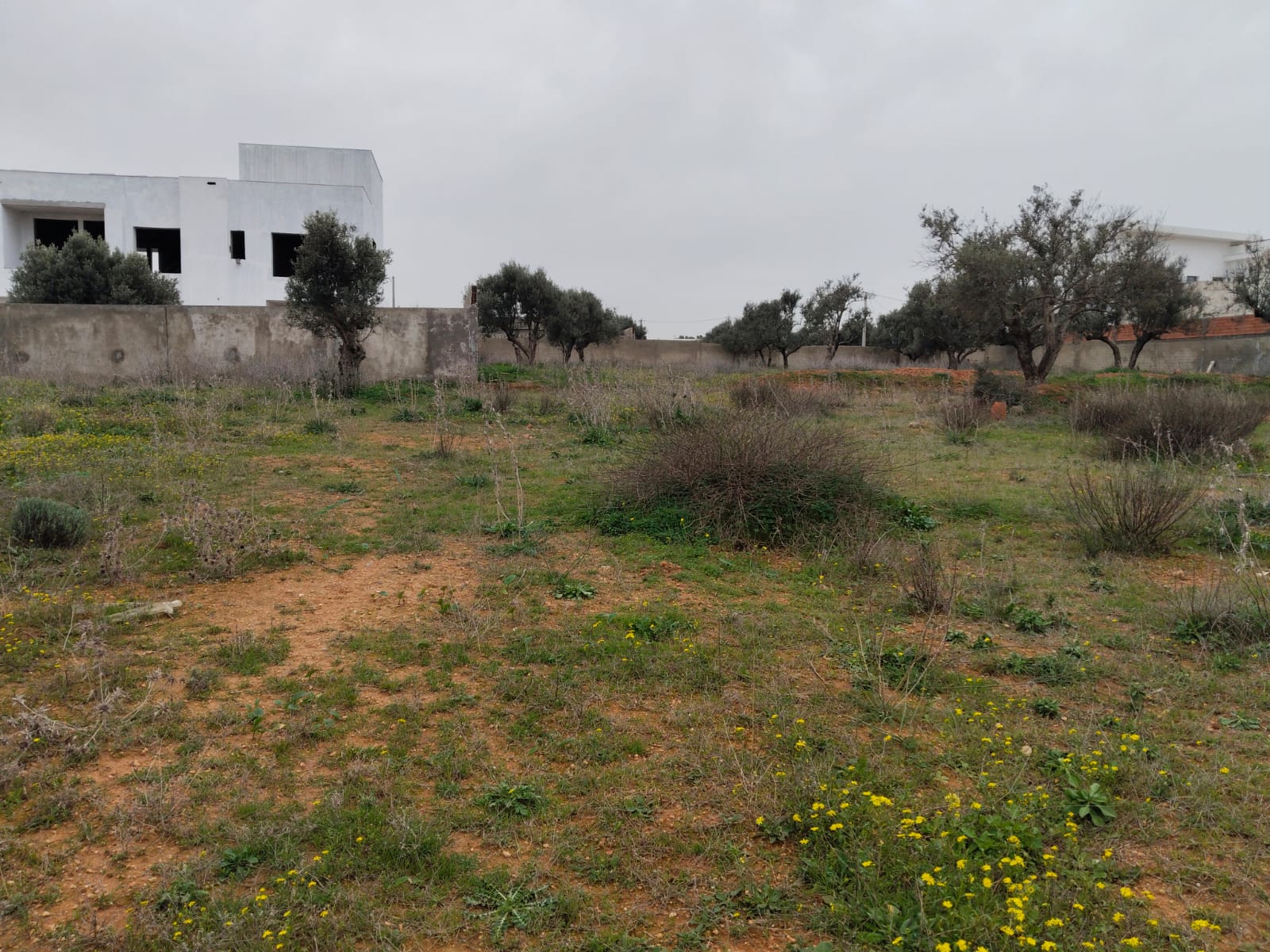 Terrain&nbsp;Terrain nu