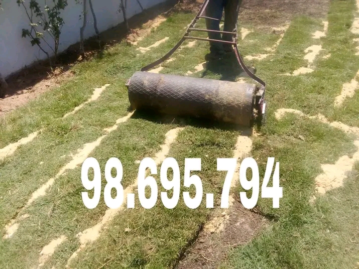 Jardinage&nbsp;Autre