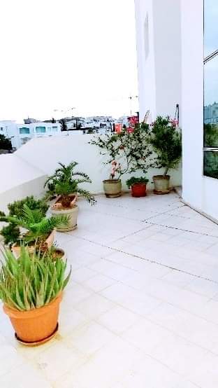 Location&nbsp;Appart. 3 pi�ces