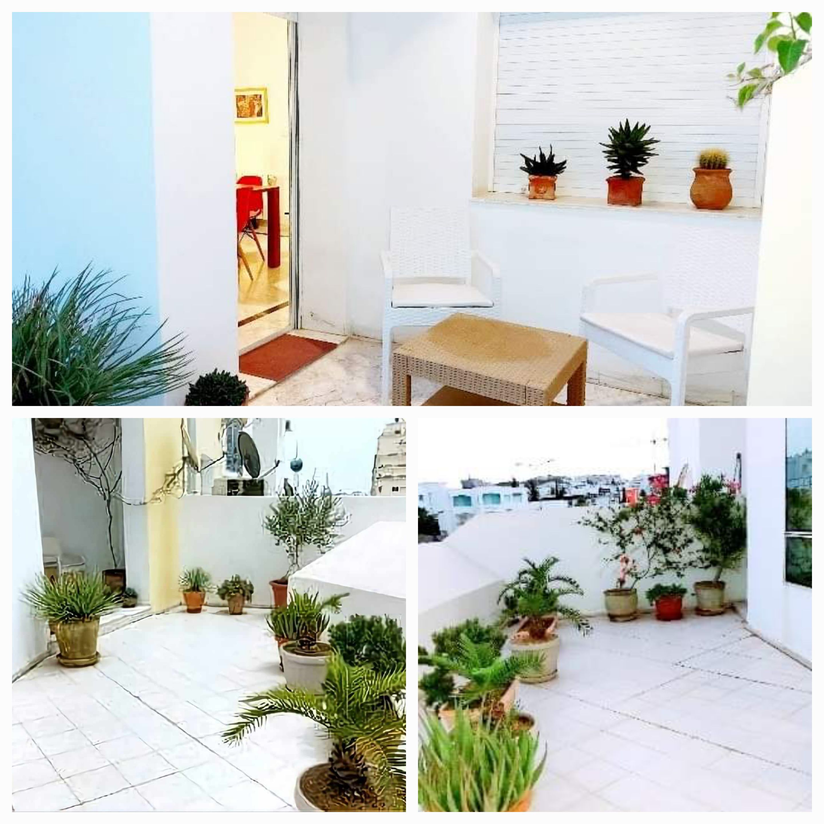 Location&nbsp;Appart. 3 pi�ces