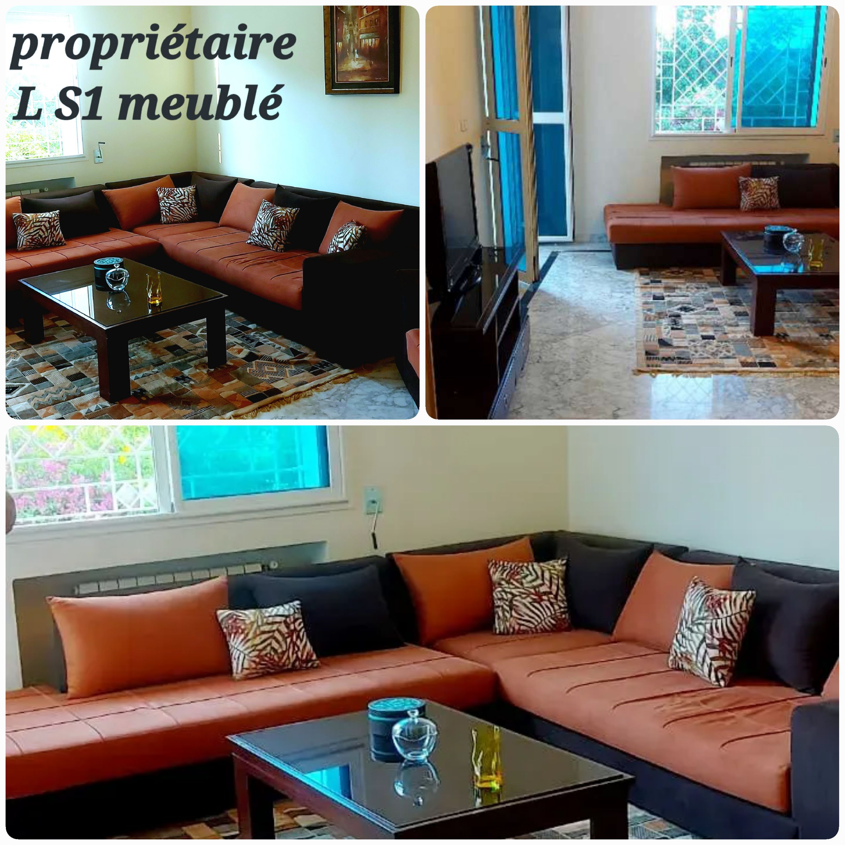 Ariana Ville&nbsp;Cite Ennasr 2&nbsp;Location&nbsp;Appart. 2 pi�ces&nbsp;Particulier l � l'ann�e s1 meubl� � ennasr2