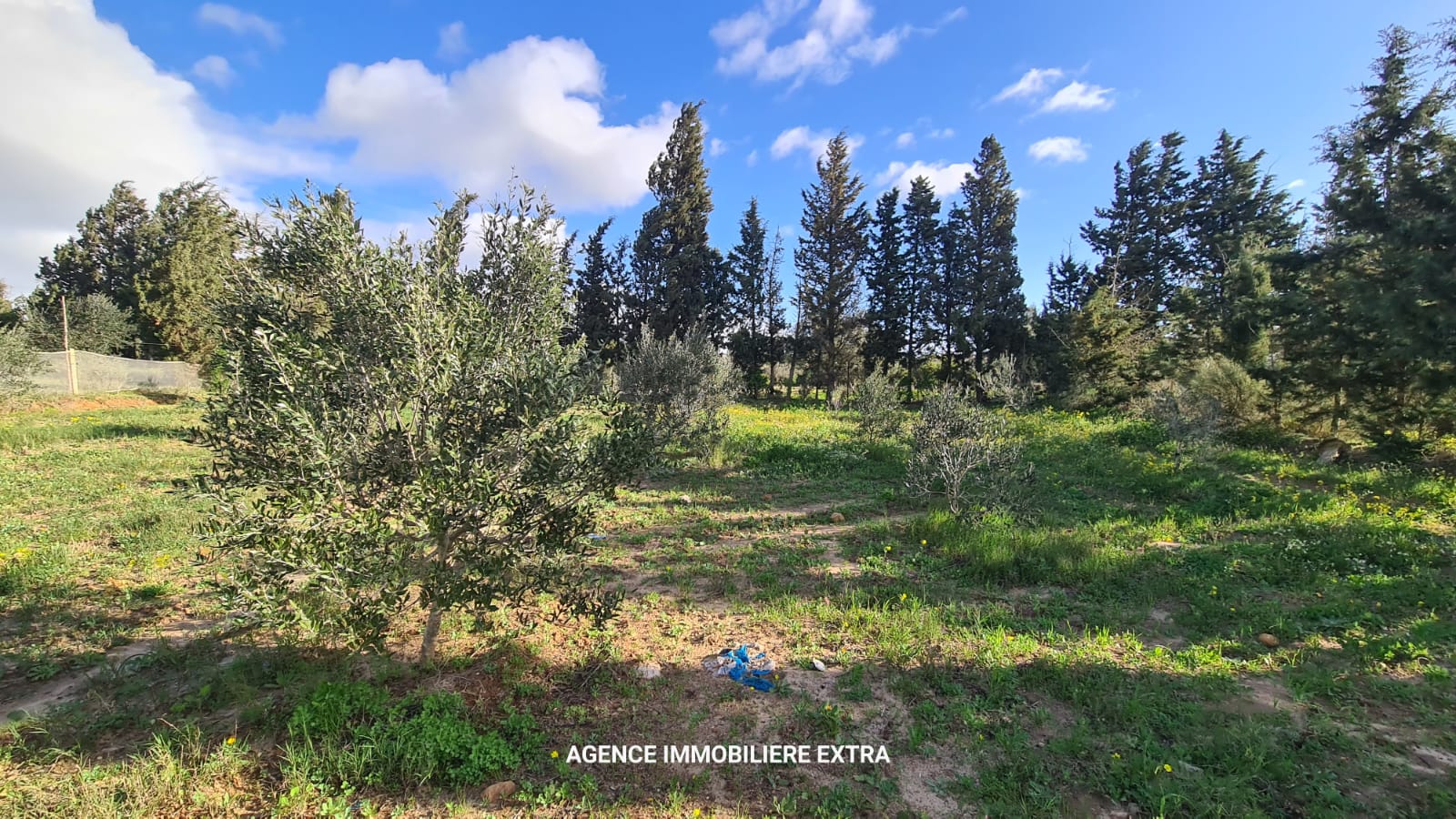 Beni Khiar&nbsp;Ghardaya&nbsp;Terrain&nbsp;Terrain nu&nbsp;Campagne � ghardaia